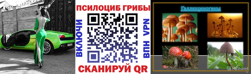 нарко площадка официальный сайт  купить  сайты  блэк спрут ССЫЛКА  Усть-Катав  Галлюциногенные грибы Psilocybe 
